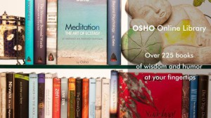 3 vernieuwde websites