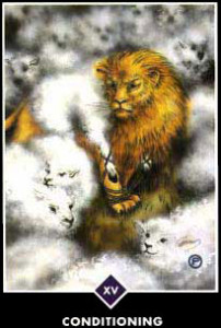 Workshops for Professionals