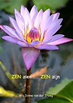 Seeing Zen Being Zen